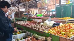 Harga Tomat di Pasar Induk Tanjung Selor Bulungan Kaltara Masih Tinggi, Rp 40.000 per Kilogram