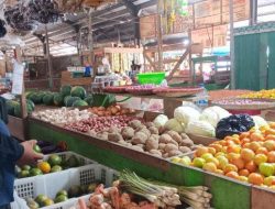 Harga Tomat di Pasar Induk Tanjung Selor Bulungan Kaltara Masih Tinggi, Rp 40.000 per Kilogram