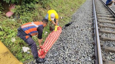 Lansia Tewas Tersambar Kereta Commuter Line Tanjung Selor