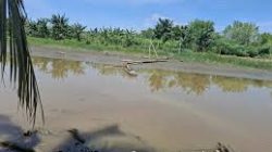 PDAM Danum Benuanta Optimalkan Sungai Selor untuk Jamin Pasokan Air Bersih